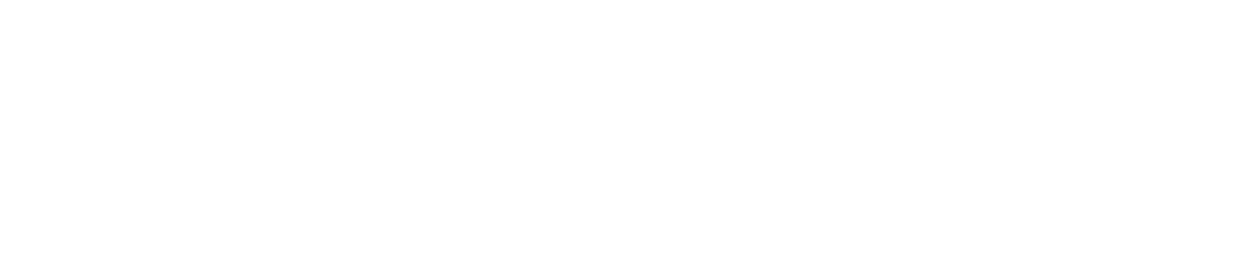 vegacosmos-logo-1-scaled